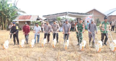 Foto: Polres Sumbawa Barat bersama dengan Distan KSB melalui aksi penanaman jagung serentak di Desa Batu Putih, Kecamatan Taliwang.