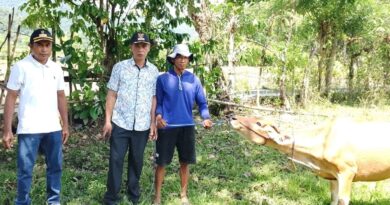 Foto: Penyerahan Bantuan Sapi Kepada Masyarakat oleh Kepala Desa Rempe, Abdul Wahab (dok. Media KSB)