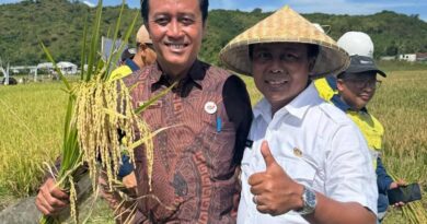 Foto: Kepala Desa Bukit Damai, Suwardi.