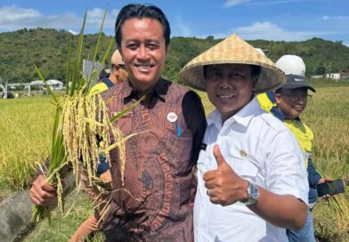 Foto: Kepala Desa Bukit Damai, Suwardi.