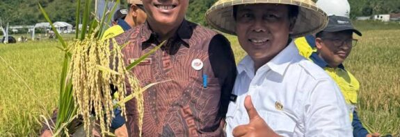 Foto: Kepala Desa Bukit Damai, Suwardi.