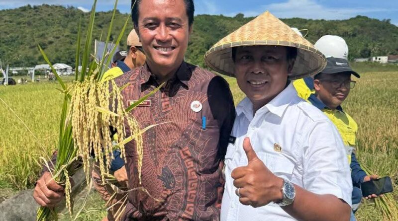 Foto: Kepala Desa Bukit Damai, Suwardi.