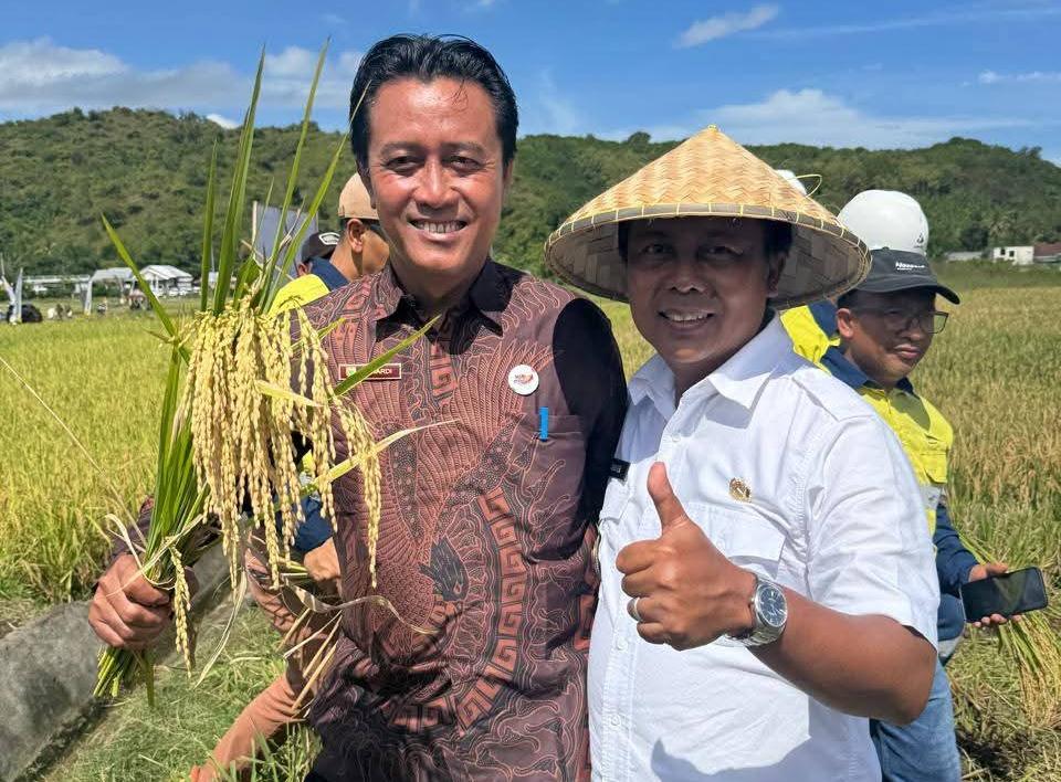 Foto: Kepala Desa Bukit Damai, Suwardi.