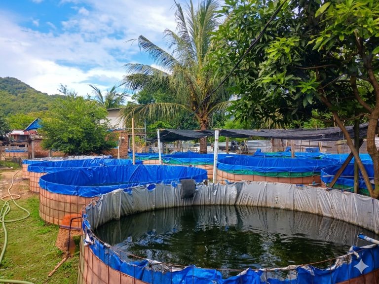 Foto: Kolam Ikan Masyarakat binaan AMMAN. (dok. AMMAN)