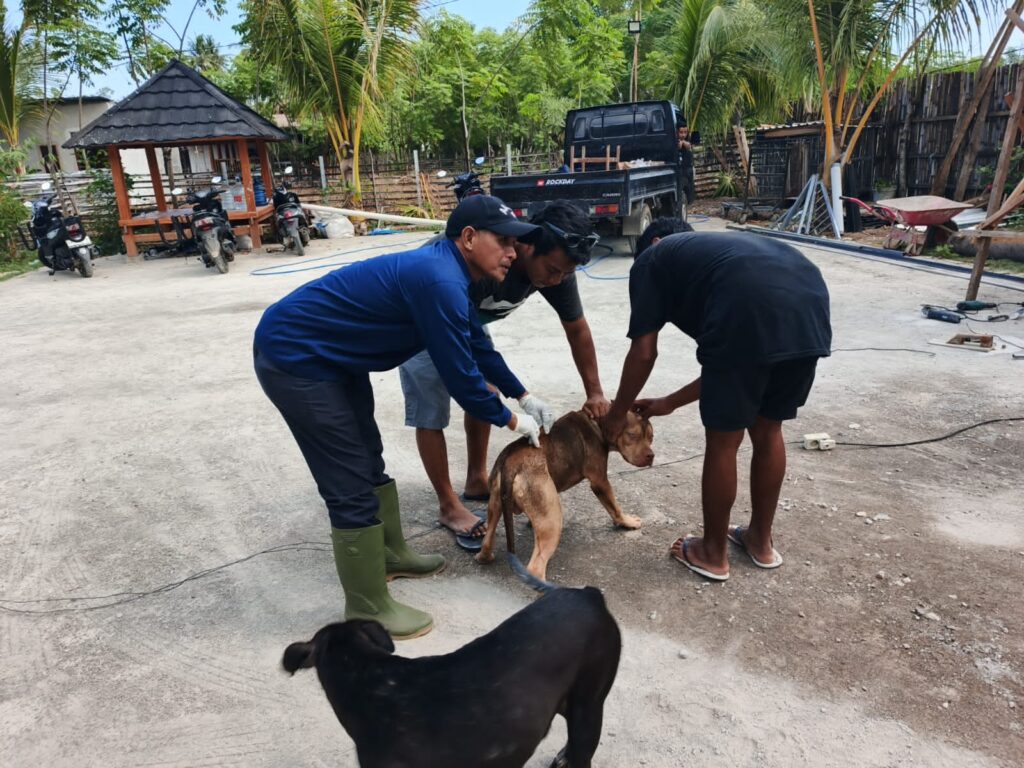 Foto: Vaksinasi Rabies di Kecamatan Taliwang (dok. Keswan)