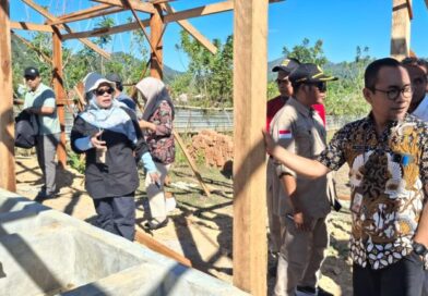 Foto: Distan KSB cek Kelompok Plasma Ternak Sapi Bali