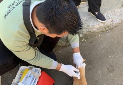 Distan KSB Vaksinasi HPR di 13 Desa Kecamatan Seteluk