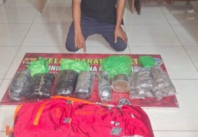 Polisi Sita 5,69 Kg Ganja, Pria Asal Mataram Diamankan di Jereweh