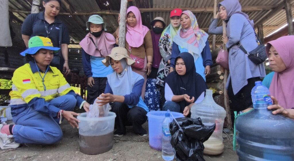 MEDIAKSB - Proses pembuatan Mikroorganisme Lokal (MOL) oleh Kelompok Tani Desa Tatar, Sekongkang, Minggu (18/10/2026) (Foto: Imam Fauzan/MEDIAKSB)